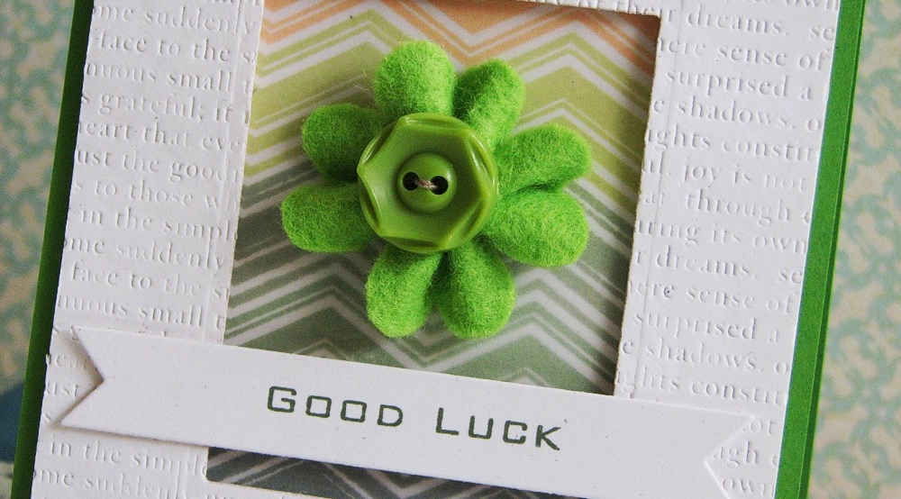 IMG_3727_zps6a8ff7e1