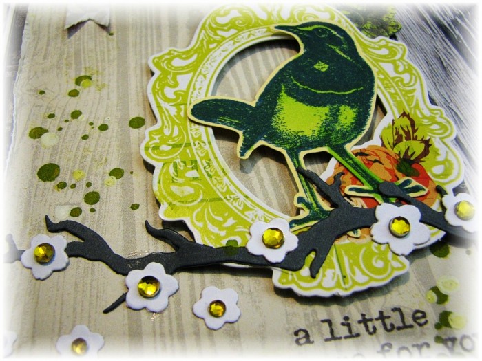 IMG_4825_zps4b0ee647