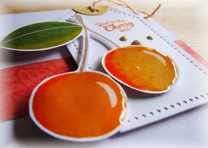 IMG_5500_zps3c952e55