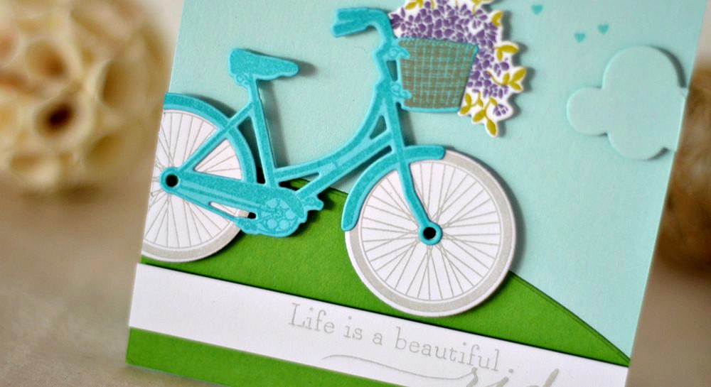 DSC_0017_zps961129ea