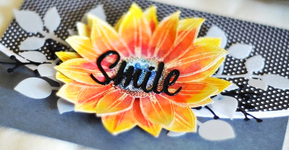 DSC_0025_zpsc3e0e3a1