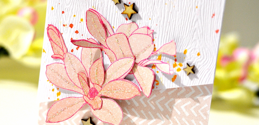 DSC_0038_zps9a869a20