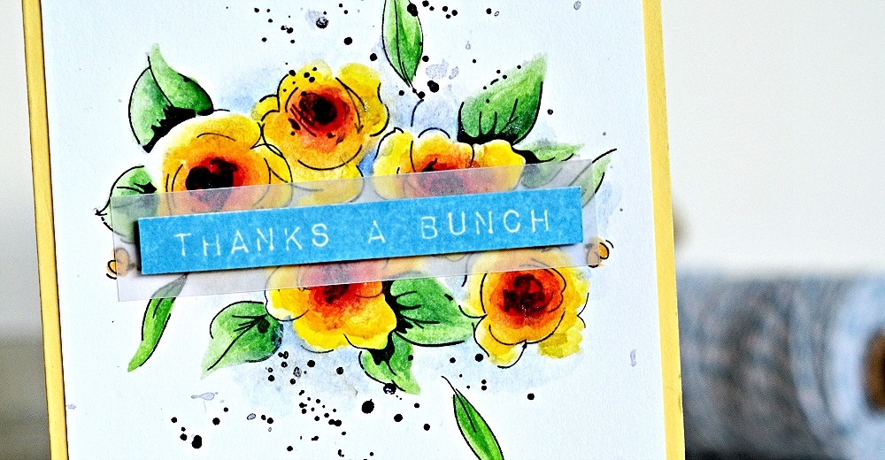 DSC_0025_zpsd9897ce6