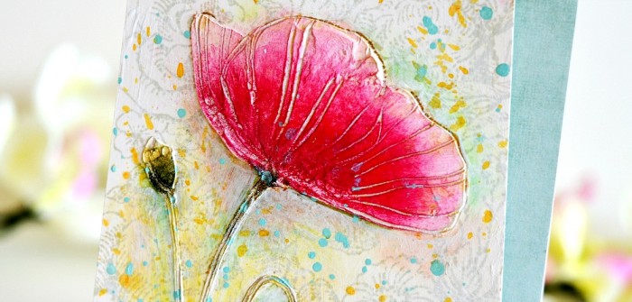 DSC_0037_zpsbbb3c934